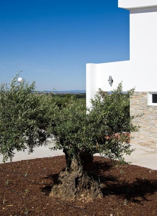 Hotel Quinta Dos Bastos Évora Extérieur photo